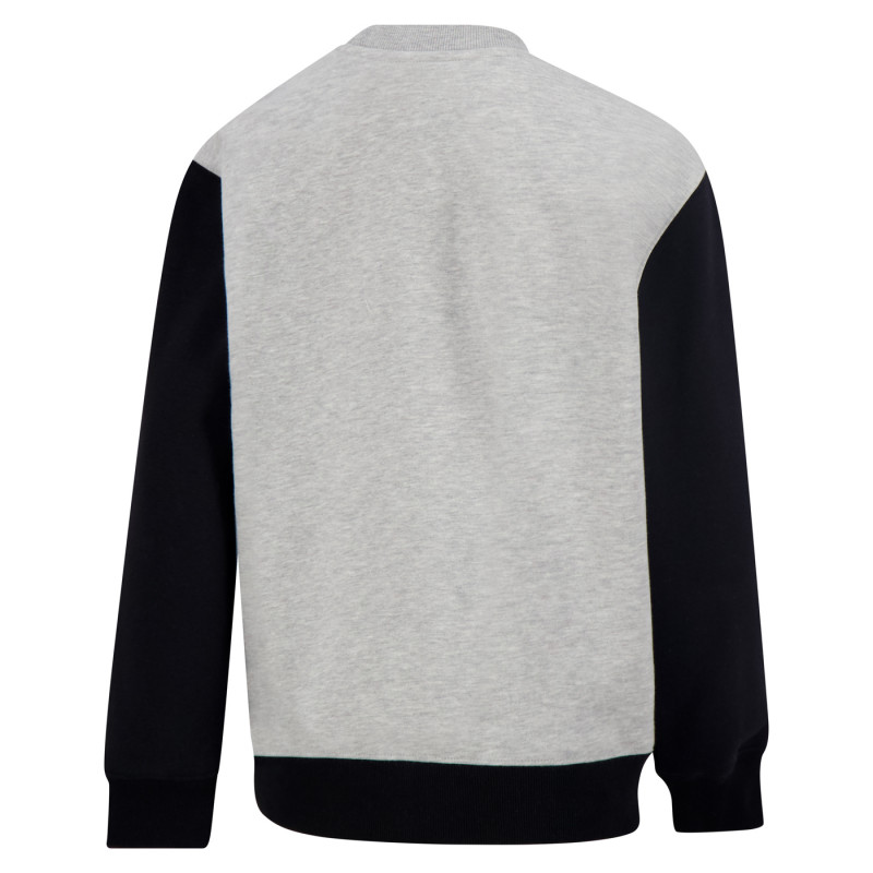 ICER YOUTH RAIDERS CHIP SHOT CREWNECK SWEATSHIRT