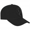 PRO STANDARD LAS VEGAS RAIDERS JEWELS HAT