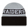 NEW ERA REVERSIBLE KNIT CAP