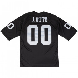 mitchell-ness-raiders-jim-otto