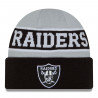 NEW ERA REVERSIBLE KNIT CAP