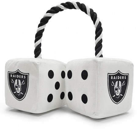 RAIDERS PET DICE TOY