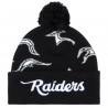 RAIDERS FLAME BEANIE BY GOLF WANG