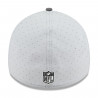 NEW ERA 39THIRTY 2025 TRAINING CAMP COLOR WAY CAP