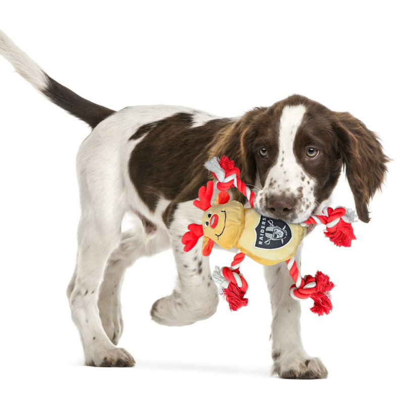 RAIDERS DEER ROPE PET TOY