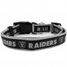 RAIDERS SATIN PET COLLAR
