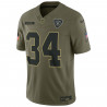 NIKE 2025 SALUTE TO SERVICE BO JACKSON JERSEY