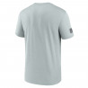 Nike Raiders Dri-FIT Team Issue Silver Legend Tee | Official Las Vegas Raiders T-Shirt & Fan Gear