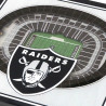 LAS VEGAS RAIDERS 4X4 STADIUMVIEW 3D 2-PACK COASTER SET