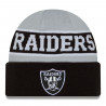NEW ERA YOUTH RAIDERS REVERSIBLE KNIT CAP