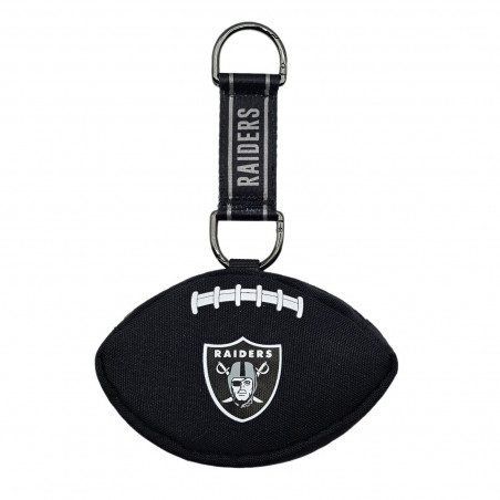 RAIDERS MULTI-PURPOSE PET BAG