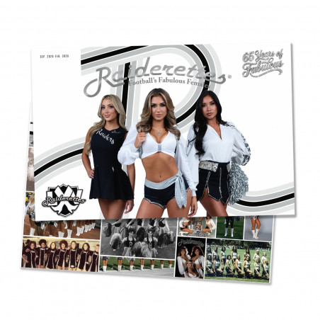 Raiders Collectibles | Memorabilia & Fan Items