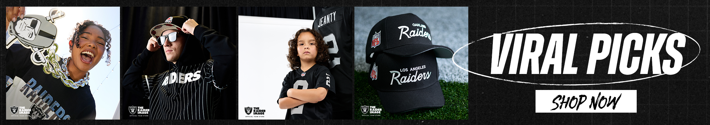 Viral Picks Shop Now